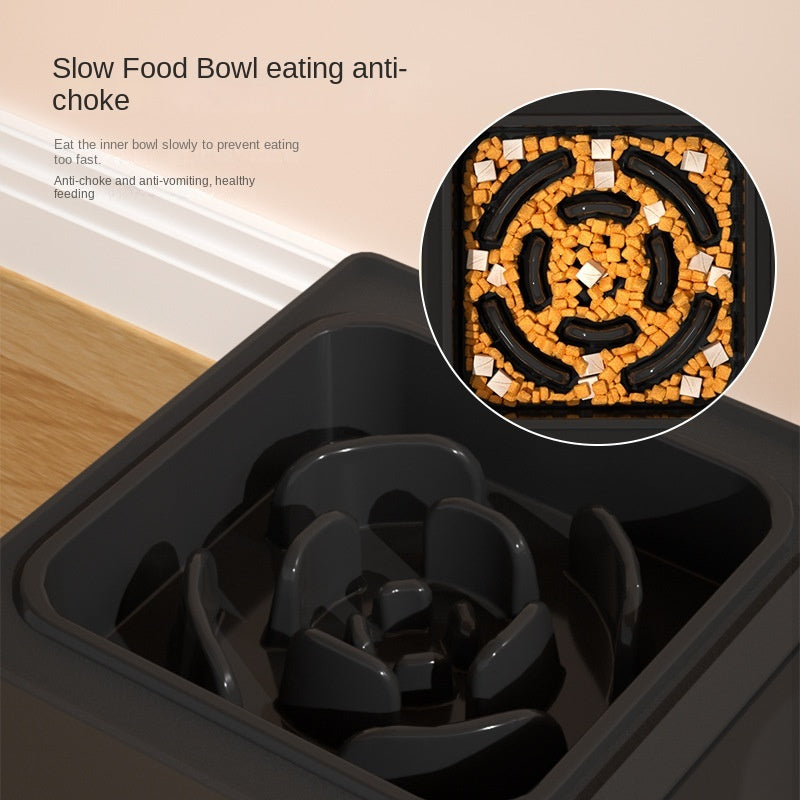 Elevated Dog Bowls - Adjustable Stainless Double Feeder