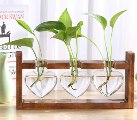 Glass & Wood Hydroponic Vase - Desktop Plant Terrarium