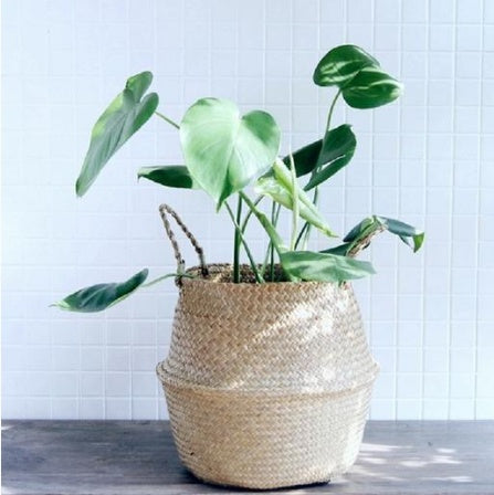 Wicker Planter Basket - Foldable Flower Pot Holder