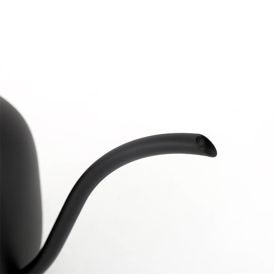 Stainless Watering Pot with Wood Handle - Garden Tool