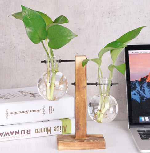 Glass & Wood Hydroponic Vase - Desktop Plant Terrarium