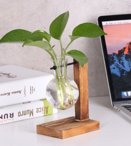Glass & Wood Hydroponic Vase - Desktop Plant Terrarium