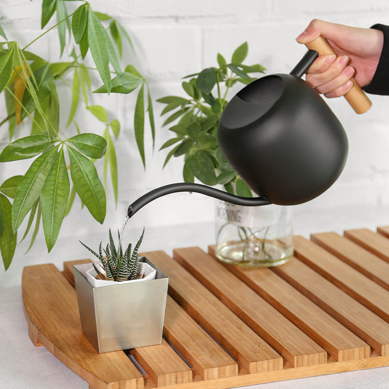 Stainless Watering Pot with Wood Handle - Garden Tool
