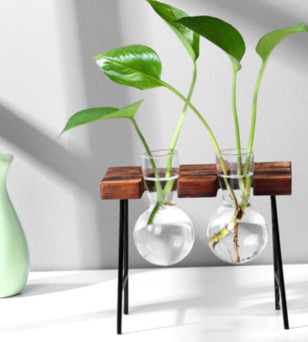 Glass & Wood Hydroponic Vase - Desktop Plant Terrarium