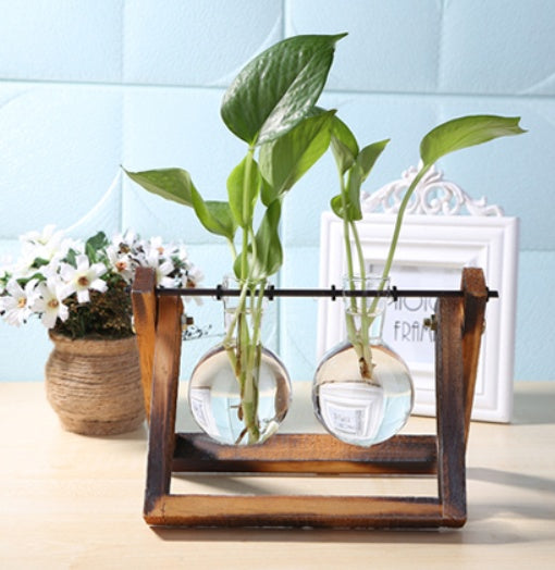 Glass & Wood Hydroponic Vase - Desktop Plant Terrarium