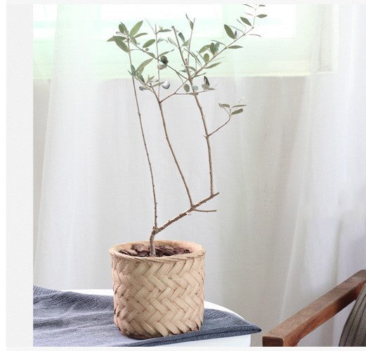 Bamboo Basket Planter - Retro Vintage Flower Pot