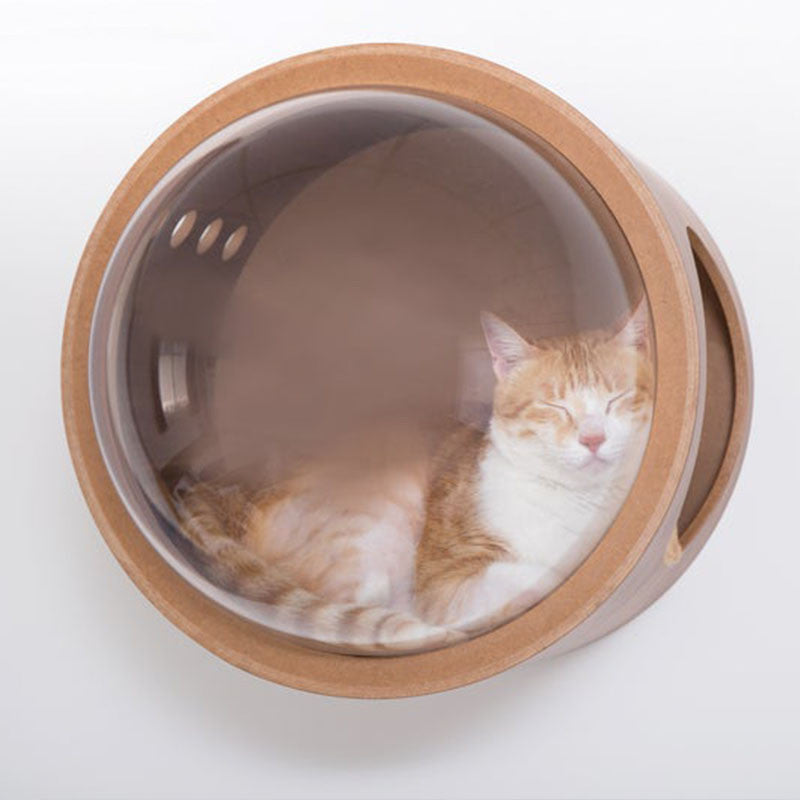 Wood Cat Wall Perch with Springboard - Scratching Post