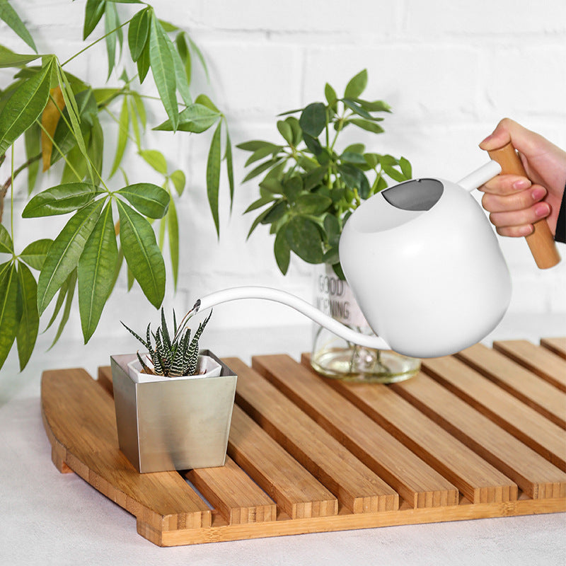 Stainless Watering Pot with Wood Handle - Garden Tool