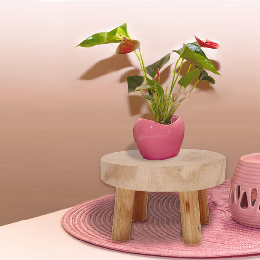 Wood Plant Flower Shelf - Storage Rack for Pots