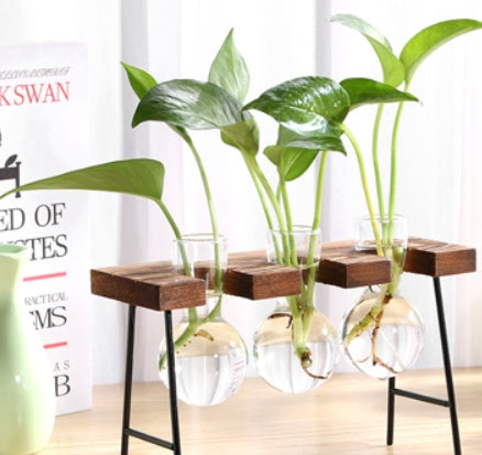 Glass & Wood Hydroponic Vase - Desktop Plant Terrarium