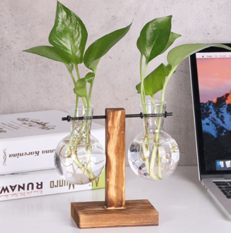 Glass & Wood Hydroponic Vase - Desktop Plant Terrarium