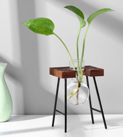 Glass & Wood Hydroponic Vase - Desktop Plant Terrarium