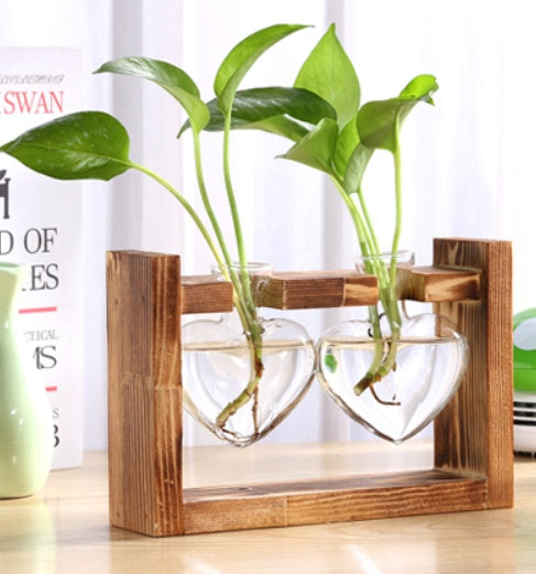 Glass & Wood Hydroponic Vase - Desktop Plant Terrarium