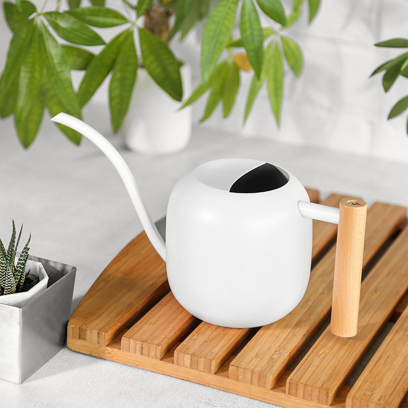 Stainless Watering Pot with Wood Handle - Garden Tool