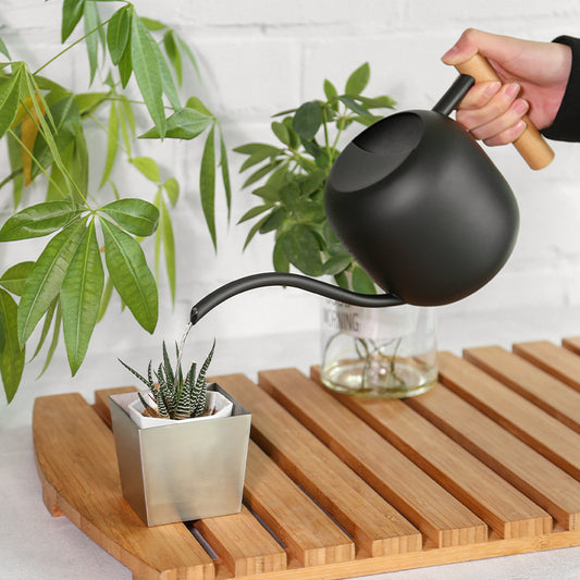 Stainless Watering Pot with Wood Handle - Garden Tool